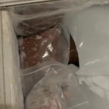 鲤鱼籽，冻货，新鲜的冻起来