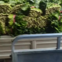 菠菜捆子货做工美丽烟箱35斤左右