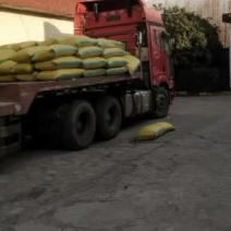 陕西省定边县红花甜荞麦