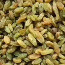 广州人葡萄干薄皮口感好足干新鲜货无籽肉厚