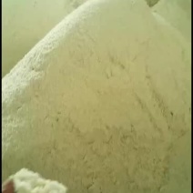 常年供应新鲜生豆渣，量大散装，可以养殖和种植