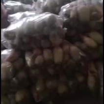 我们经营水果萝卜大量共应