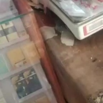 山东羊肚菌鲜品，基地直发新鲜到家！！价格就是实惠！！