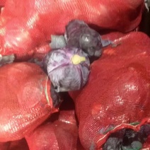 库存精品紫甘蓝，净菜