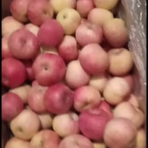 国光苹果，源头产地，酸甜可口
