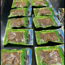 西藏那曲精品冬虫夏草打包