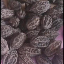 山核桃药用干货山核桃皮厚仁少农副产品