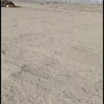 陕西省定边县纯土地水地