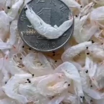 海产品干货，虾皮，大虾，鱼类