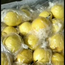 蜜梨通货大量出售需要的联系我