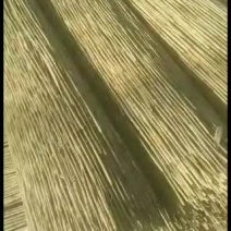 芦苇帘防沙，绿化，建筑，出口等