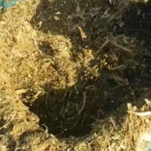 青储养殖神器滴水不加质量保证
