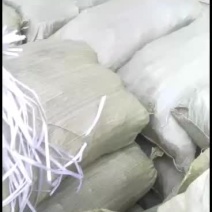 全国各地大量批发优质黄花菜苗，