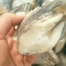 出售各种海产品小碟鱼头