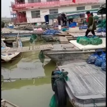 五九公，一两二到一两六规格