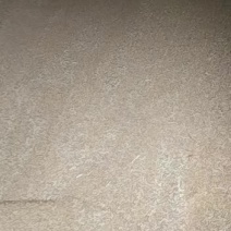 16年优质小麦容重780