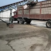 16年小麦出货中整车出售