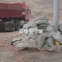 宁夏精品玉米，大量批发