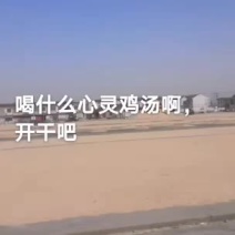 鲁北批发淡干鱼粉原料