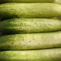 旱瓜蔬菜水果代发欢迎咨询