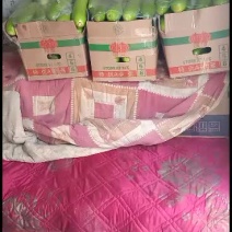 绿皮西葫芦，物美价廉
