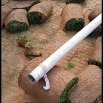 承接绿化草坪绿化工程