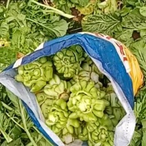 腌制榨菜腌制菜叶腌制菜心