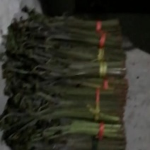 高山野菜，蕨菜，大叶芹，等各种野菜