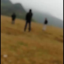 种植一养殖场地合作
