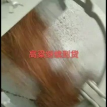 大量供应量大从优红高粱