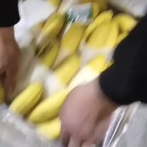 多乐，香蕉，保没有黑心，没有硬心。口感特甜