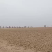 陕西省定边县纯土地水浇地