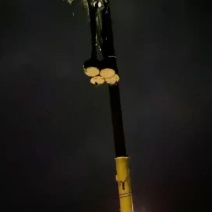 供垂柳5公分到15分光杆和骨架大量供应。