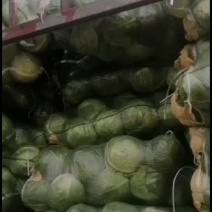 甘蓝，袋装甘蓝，个大颜色正