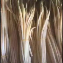 上海奉贤区精品藕带预售