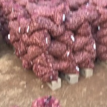 云南红皮蒜，红香蒜，分蒜