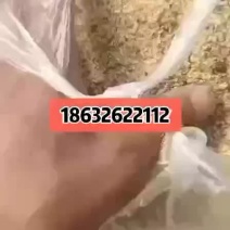 厂家供应小米壳，小米糠，谷糠小米油糠饲料原料鸡鸭猪