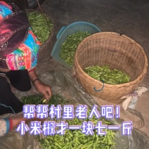 新鲜泡椒加工装袋泡椒适合各种炒菜做法简单美味