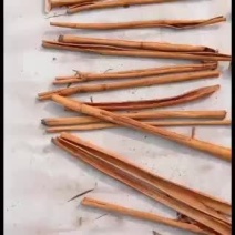 广西收工烟桂统货，选货，锯货，按客户要求长度