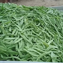 蔬菜芸豆大扁赶集货下滑