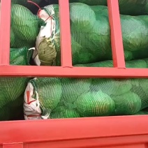 园包菜好货净菜要的过来看看
