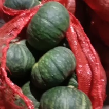 板栗南瓜，广西种值基地