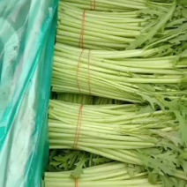 精品茼蒿，货足，，，