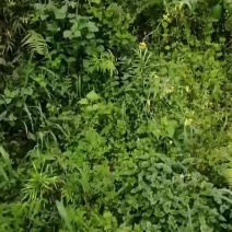 永远热情的忠县人为你服务