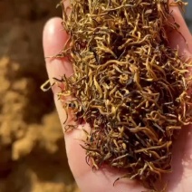 桐木关金骏眉薯香红茶口感醇厚耐泡香气足500g支持线上