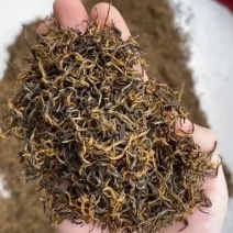 新茶武夷山｛全单芽黄芽金骏眉红茶高山原味嫩芽黄蜜香500克茶