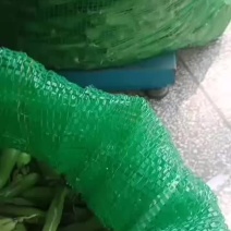简阳市养马镇青碗豆大白胡豆