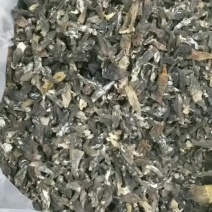 特价150/斤云南羊肚菌圆通包邮当天发货