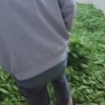 新鲜桑叶菜，桑果干，桑叶茶