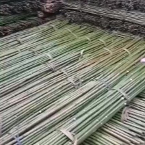有需要的种植户，老板请下单